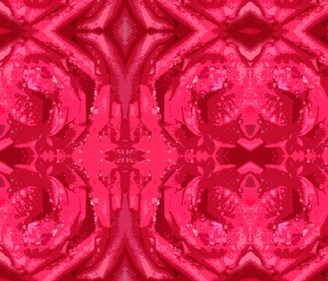 Rrredroseclose_contest54533preview