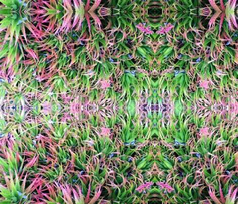 Rrimage_contest55202preview