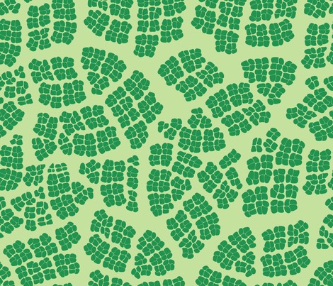 Rmod_leaf_cells_contest56166preview