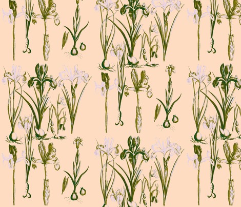 Rr6439_botanical_ed_contest57249preview
